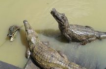 Native Aquatic Species, Jungle Hike & Animal Rescue Center -All tickets included