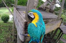 Native Aquatic Species, Jungle Hike & Animal Rescue Center -All tickets included