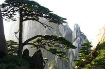 Private 2-Night Huangshan Tour Combo Package