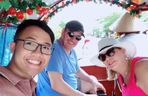 Private Mekong Delta Tour - My Tho - Ben Tre from Cruise Port