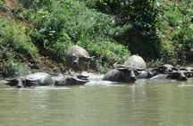No.1 Chiang Mai: Leisure River Kayaking: Mae Taeng forest Reserve