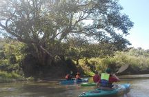 No.1 Chiang Mai: Leisure River Kayaking: Mae Taeng forest Reserve