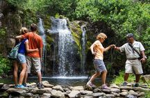 Kohala Waterfalls Small Group Adventure Tour
