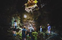 Hidden Craters Hike of Kona