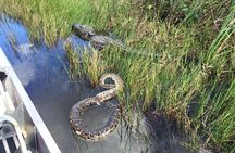 Western Everglades Adventure Tour
