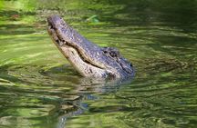 Western Everglades Adventure Tour