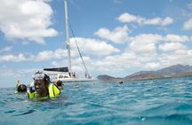 West Oahu Green Sea Turtle and Dolphin Snorkel Sail with Lunch