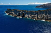 Ni'ihau and Na Pali Coast Snorkel Boat Tour