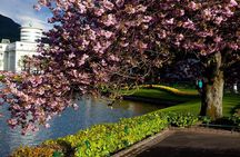 PRIVATE TOUR: Bergen city sightseeing, 5 hours