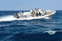 Kealakekua Bay Captain Cook Snorkel Exclusive