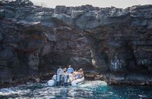 Deluxe Morning Snorkeling Adventure