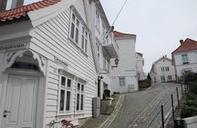 PRIVATE TOUR: Bergen city sightseeing, 5 hours