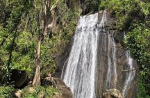 Discover El Yunque National Park: Half-Day Rainforest Tour