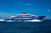 Explore Phi Phi Islands by Ferry – Snorkeling & Lunch Included