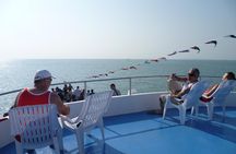 Explore Phi Phi Islands by Ferry – Snorkeling & Lunch Included