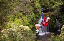 Big Island Zipline over KoleKole Falls