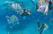 Isla Mujeres Catamaran Adventure All Inclusive from Cancun