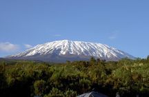 13 Days Adventure in Tanzania - Trekking and Wildlife Safari