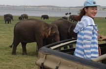Minneriya National Park private safari 