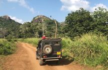Minneriya luxury jeep safari