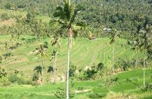 Private Sekumpul Waterfalls Trekking Tour