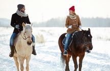 Horse Riding in Bled