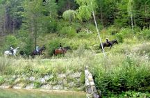 Horse Riding in Bled