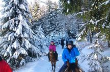 Horse Riding in Bled