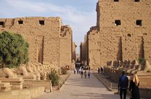 Private Tour: 8 Days 7 Nights Great Pyramids & Nile Cruise by Train from Cairo