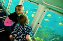 Hurghada Semi-Submarine Trip