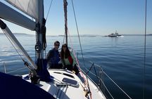 Seattle's Best Private Sailing Adventure on the Puget Sound BYOB!