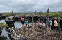 5-Day Guided Galapagos & Los Tuneles Tour