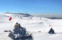 Snowmobile Half Day Tour & Scenic Adventure