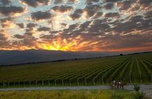 One-day trip to Kakheti (Wine Tour)