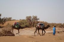 4 Days Trekking To The Heart Of Desert