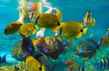 Krabi Nice Sea Snorkeling