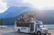 Caribou - Discover the Best of the Rockies (8-Days)