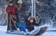 Dog Sledding and Mushing Experience in North Pole