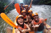 Bali Ayung River White Water Rafting with Transport