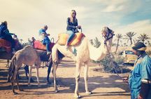 Camel Ride Experience Around Marrakech