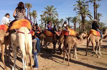 Camel Ride Experience Around Marrakech