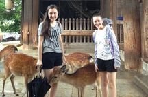 Nara private tour (Shore excursion available from Osaka or Kobe port)