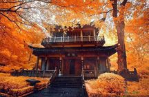 Half-Day Private Tour to Qixia Temple and Swallow Rock in Nanjing