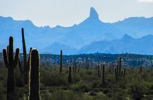 Wilderness Hiking Tours