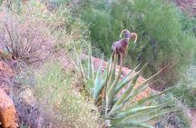 Wilderness Hiking Tours