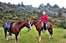 Horse Riding Chacan Mountain And Temple Of The Moon