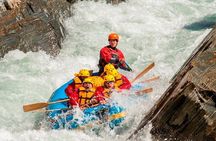 Shotover River Rafting Trip from Queenstown