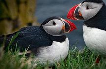 Private Tour: South Coast of Iceland by SUV or Van from Reykjavik