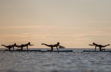 SUP Yoga in Stoja: Flow on Water