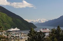 City and Mountain Summit Shore Excursion in Skagway
